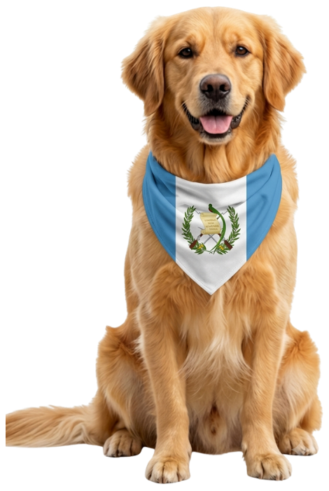 Cormito, la mascota de Grupo Cormo